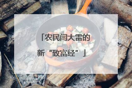 农民闫大雷的新“致富经”